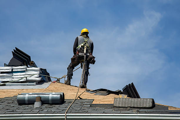 Professional Flat Roof Repair technician working in Schiller Park, IL